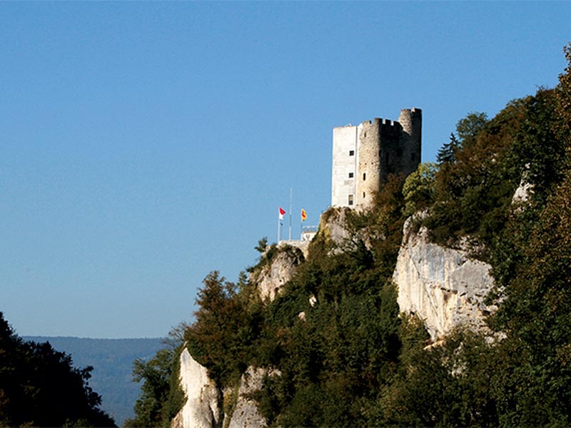 8. Solothurner Waldwanderung