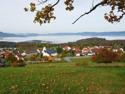 8. Solothurner Waldwanderung