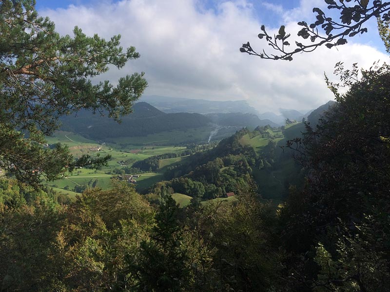 Geologische Wanderung Bärschwil