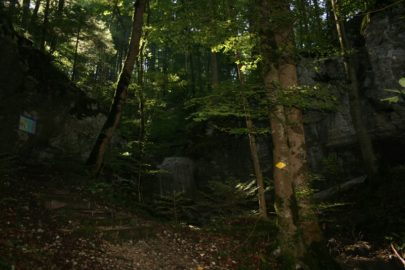 Geologische Wanderung Bärschwil