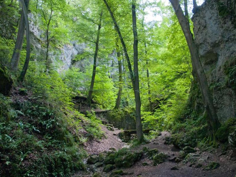 Wandrung Chälengrabenschlucht