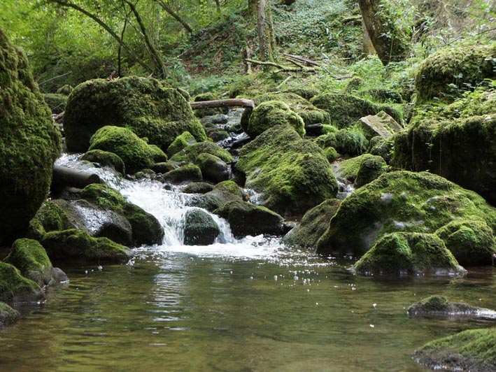 Wanderung Chaltbrunnental