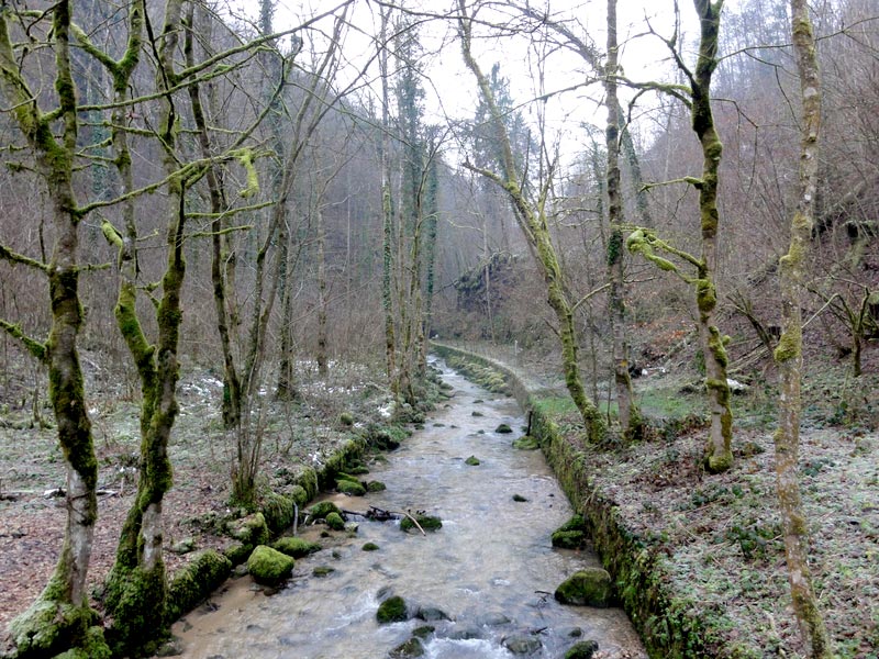 Wanderung Chaltbrunnental