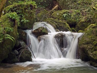 Wanderung Chaltbrunnental