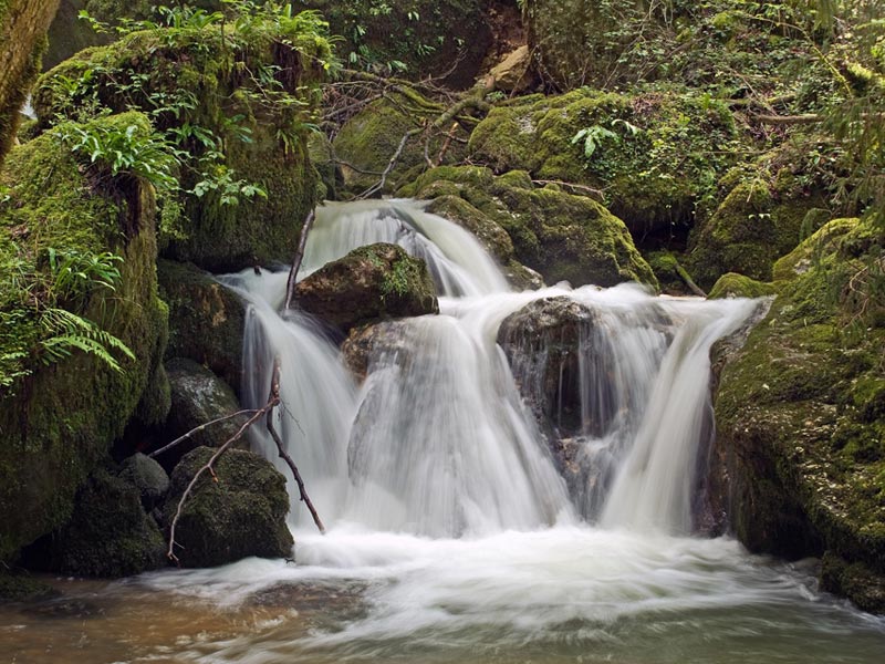 Wanderung Chaltbrunnental