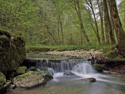 Wanderung Chaltbrunnental