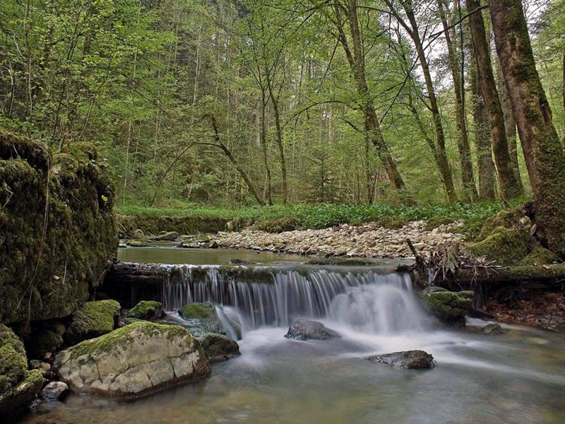 Wanderung Chaltbrunnental