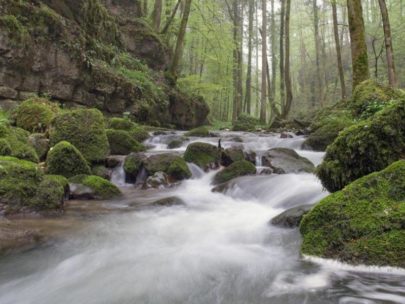Wanderung Chaltbrunnental