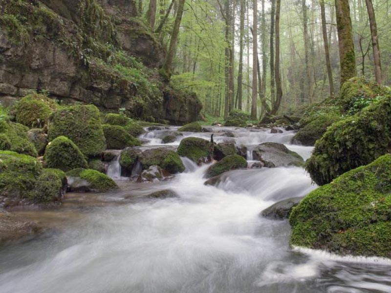Wanderung Chaltbrunnental