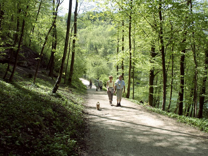Wanderung Chaltbrunnental