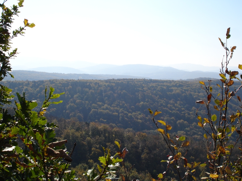 Kinderwagentaugliche Rundtour Gempen