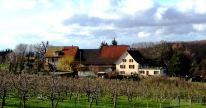 Kinderwagentaugliche Rundtour Gempen