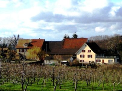 Wanderung Kirschenparadies