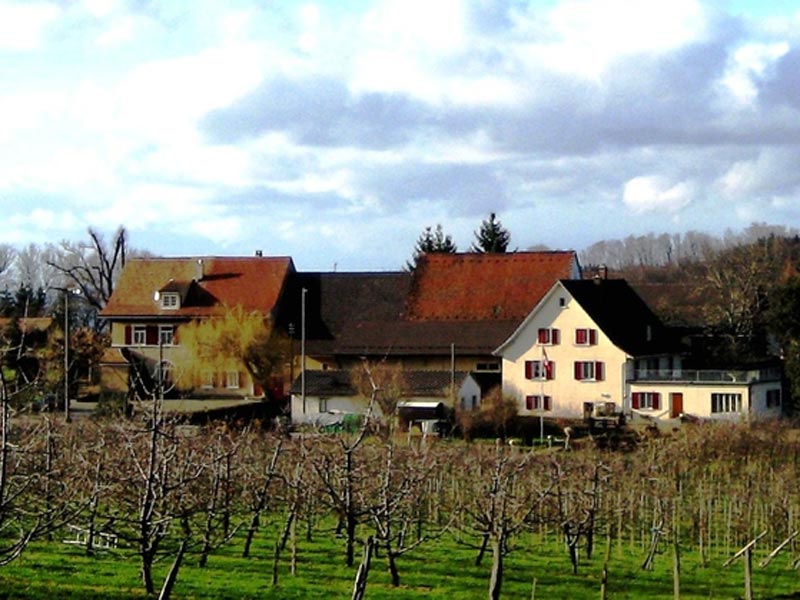 Wanderung Kirschenparadies