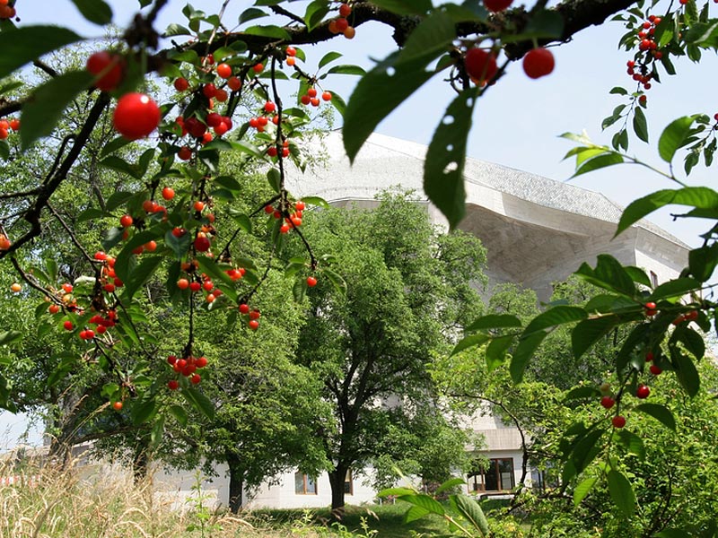 Goetheanum Gartenpark