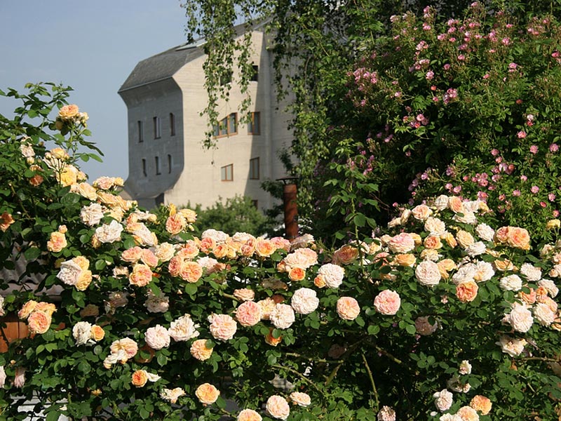 Goetheanum Gartenpark