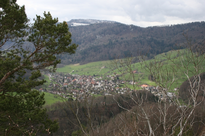 Rundgang Lingenberg Nord