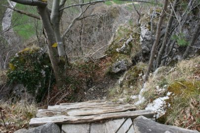 Rundgang Lingenberg Nord