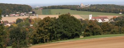 5. Solothurnische Waldwanderung