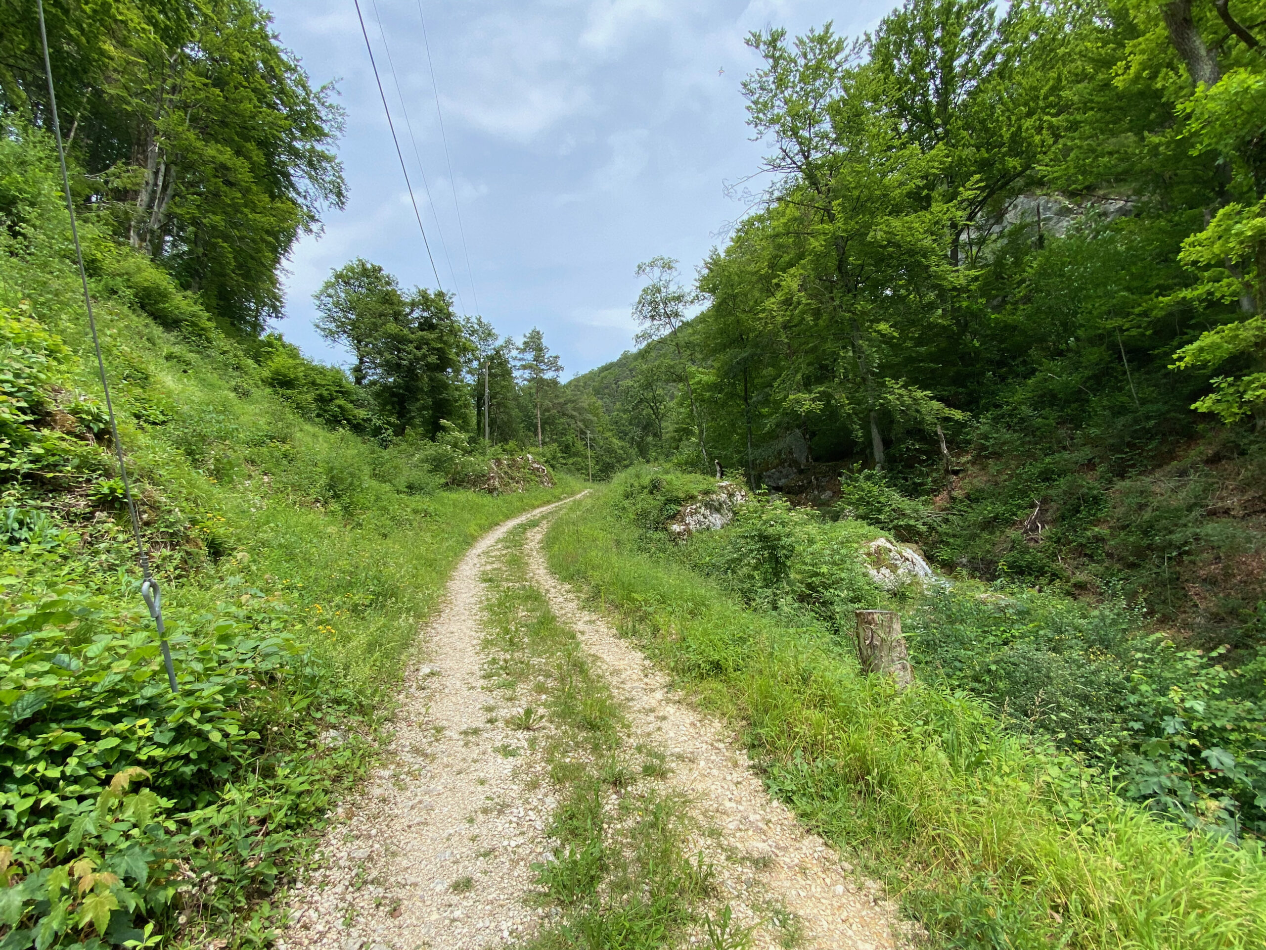 2 Weg ab Miniwasserfall_Sebastian Juengel