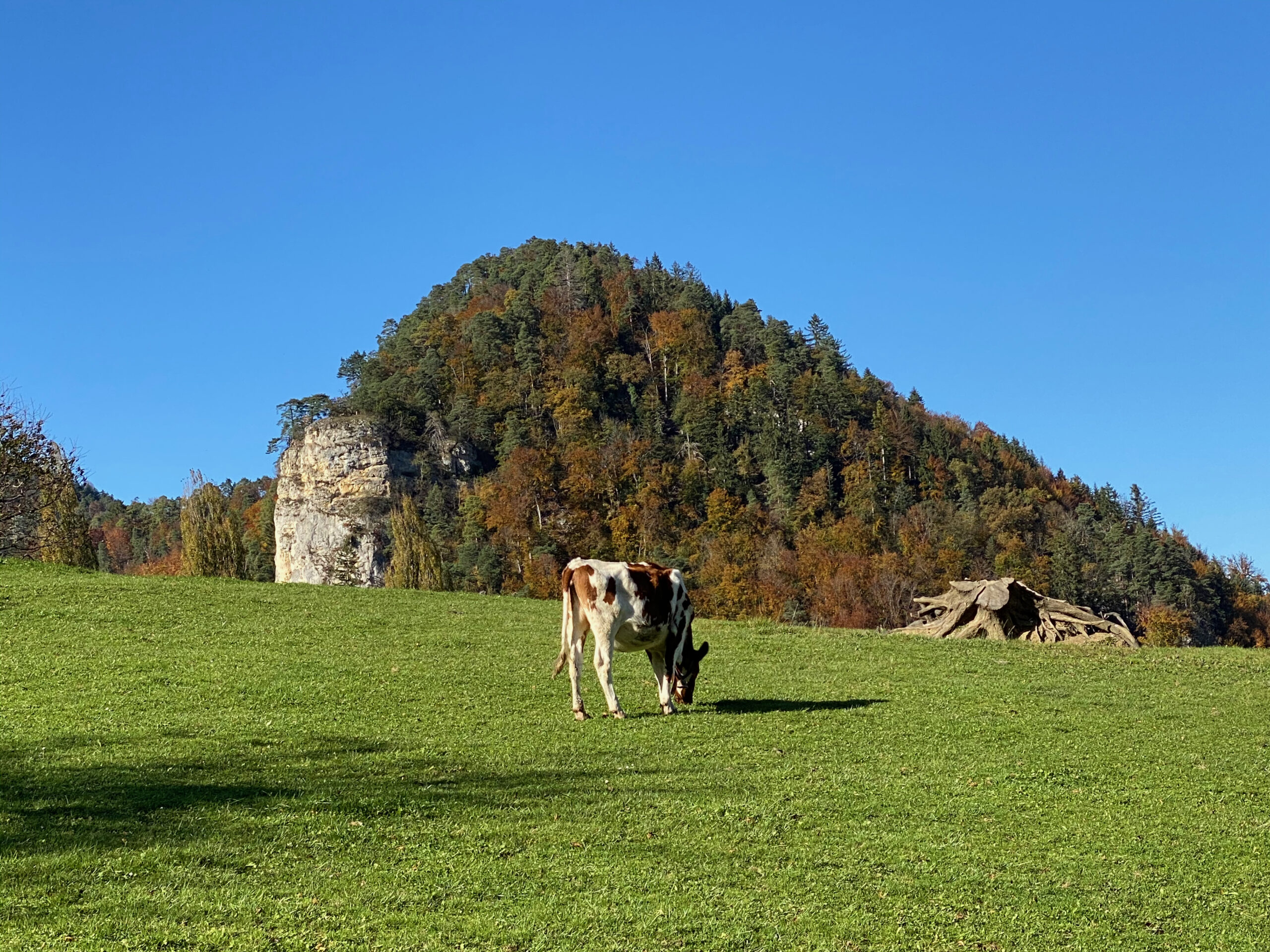 Erschwil Felsvorsprung Mitte mit Kuh_Sebastian Jüngel