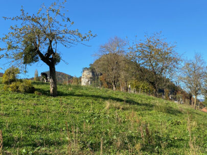 Erschwil Felsvorsprung aus der Ferne_Sebastian Juengel
