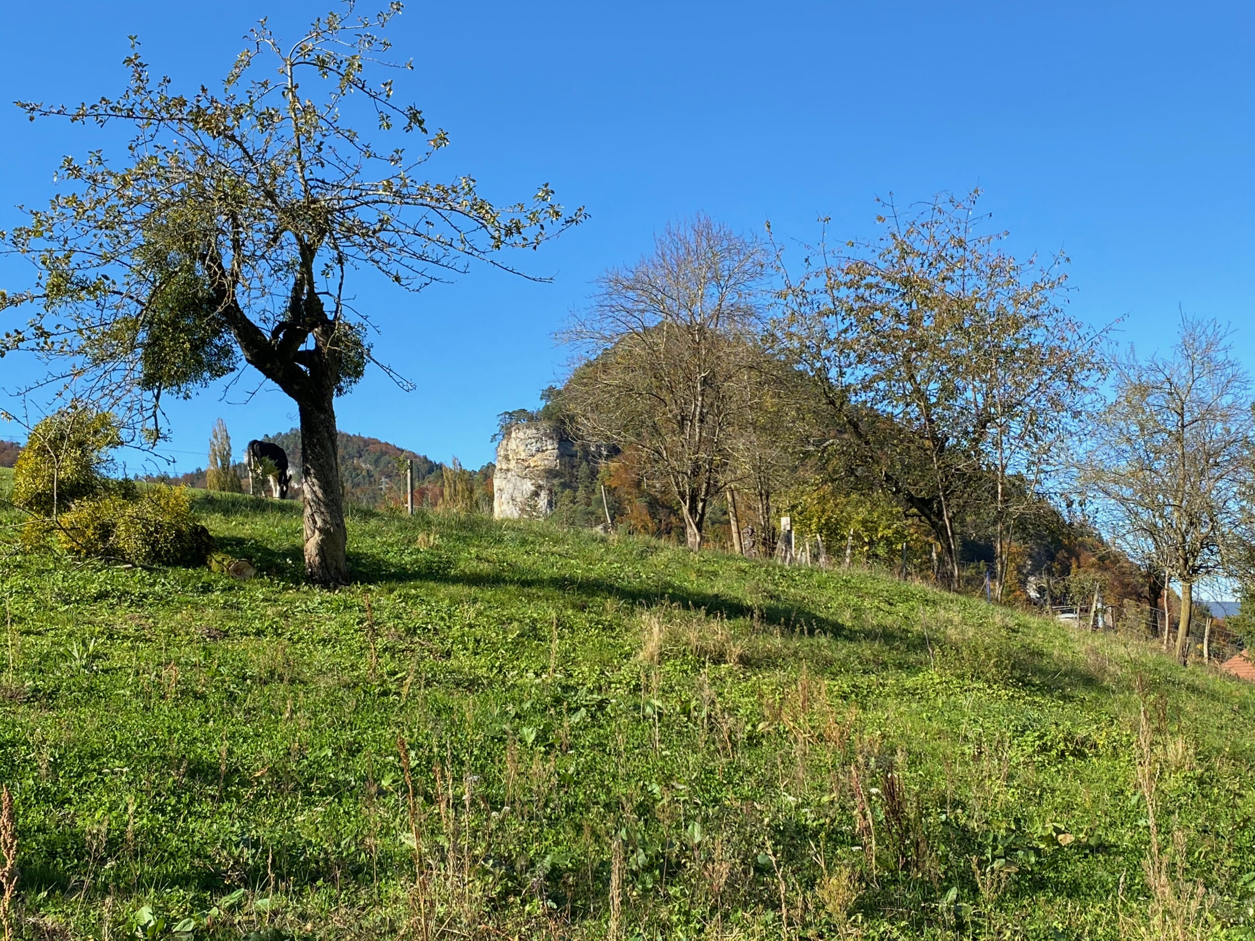 Erschwil Felsvorsprung aus der Ferne_Sebastian Juengel