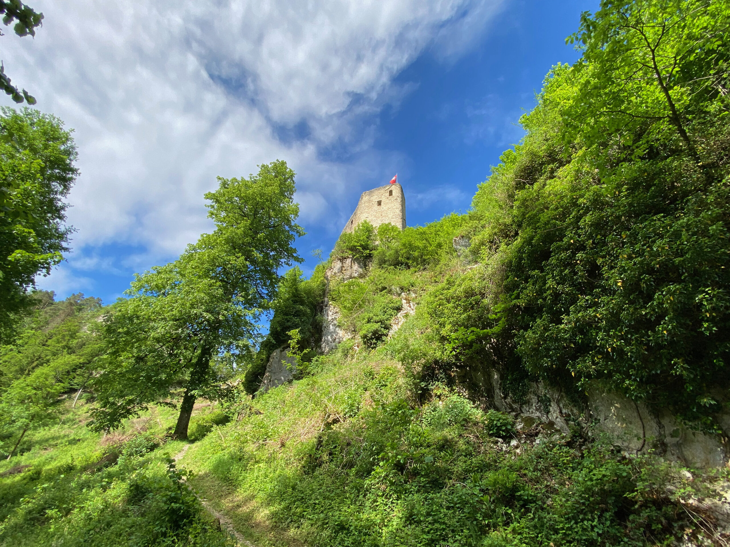 Ruine Gilgenberg Seitenansicht 1_Sebastian Juengel