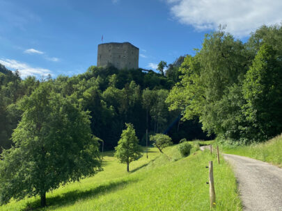 Ruine Gilgenberg auf Anhoehe_Sebastian Juengel
