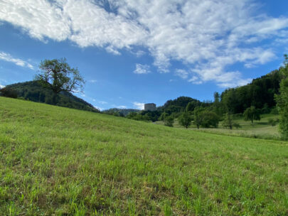 Ruine Gilgenberg von Wiesenlandschaft_Sebastian Juengel