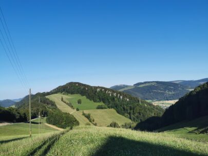 IMG_20220716_190657