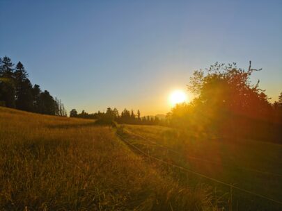 IMG_20220716_204928