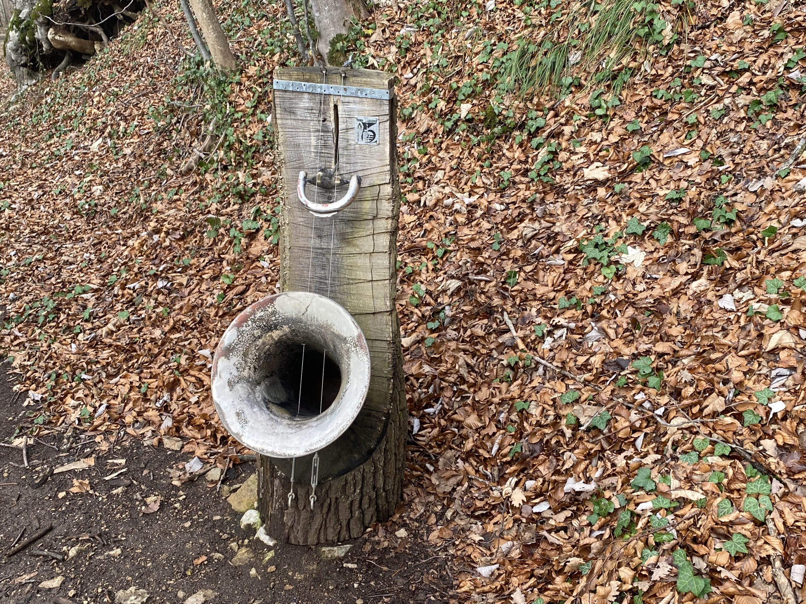 Grindel Klangweg 5 Saiten_Sebastian Juengel