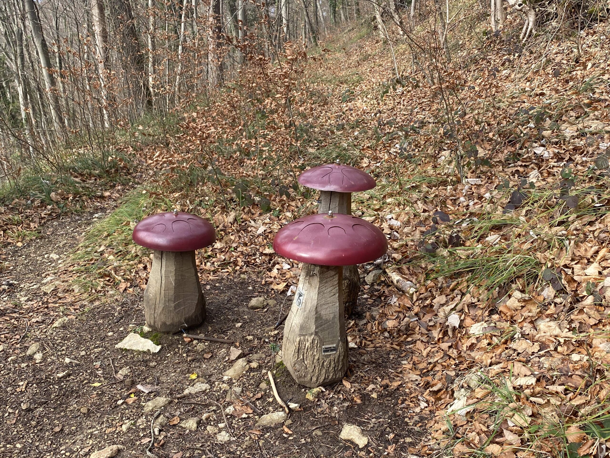 Grindel Klangweg 7 Klangpilze_Sebastian Juengel