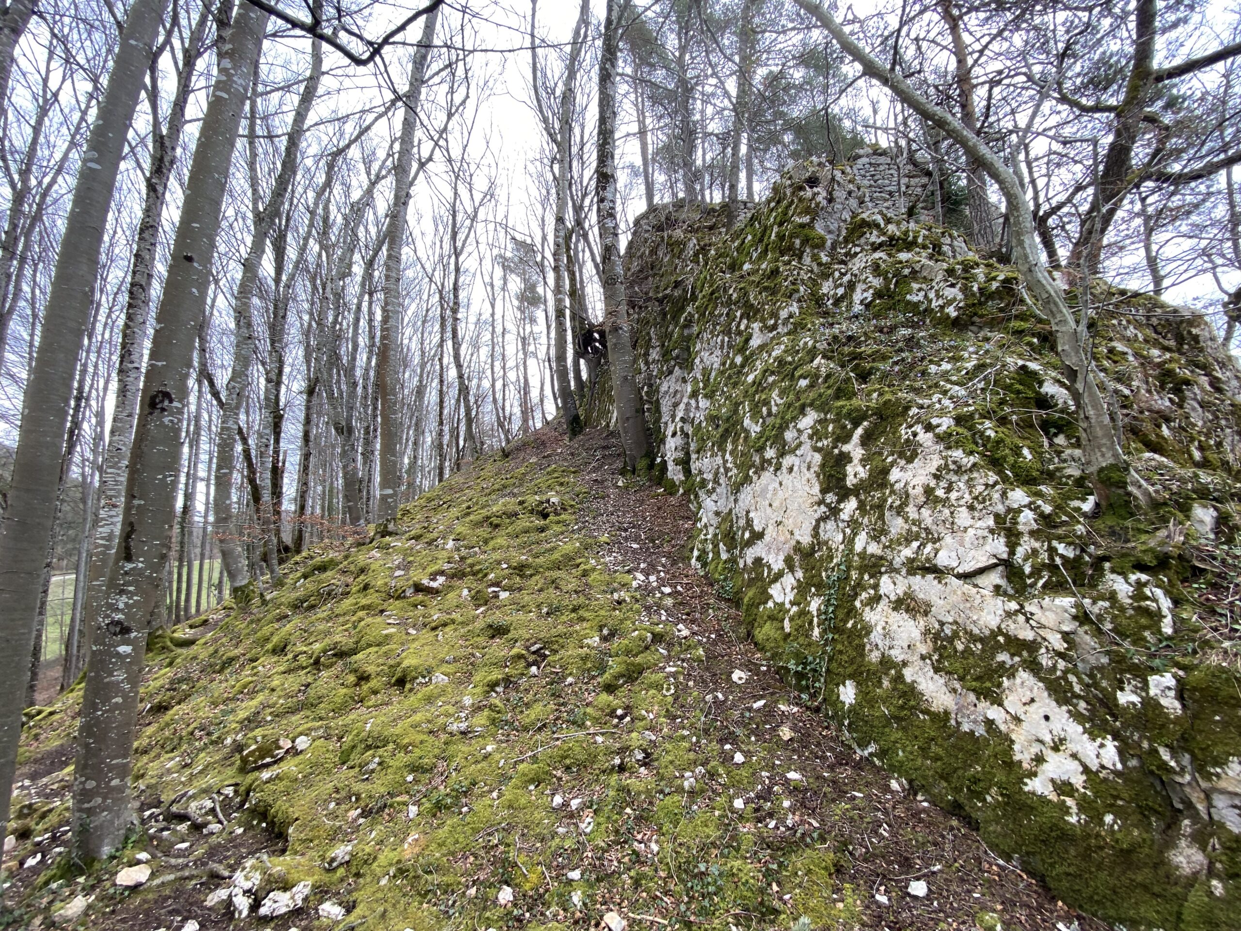 Kleinluetzel Ruine Blauenstein Felsenwand_Sebastian Juengel