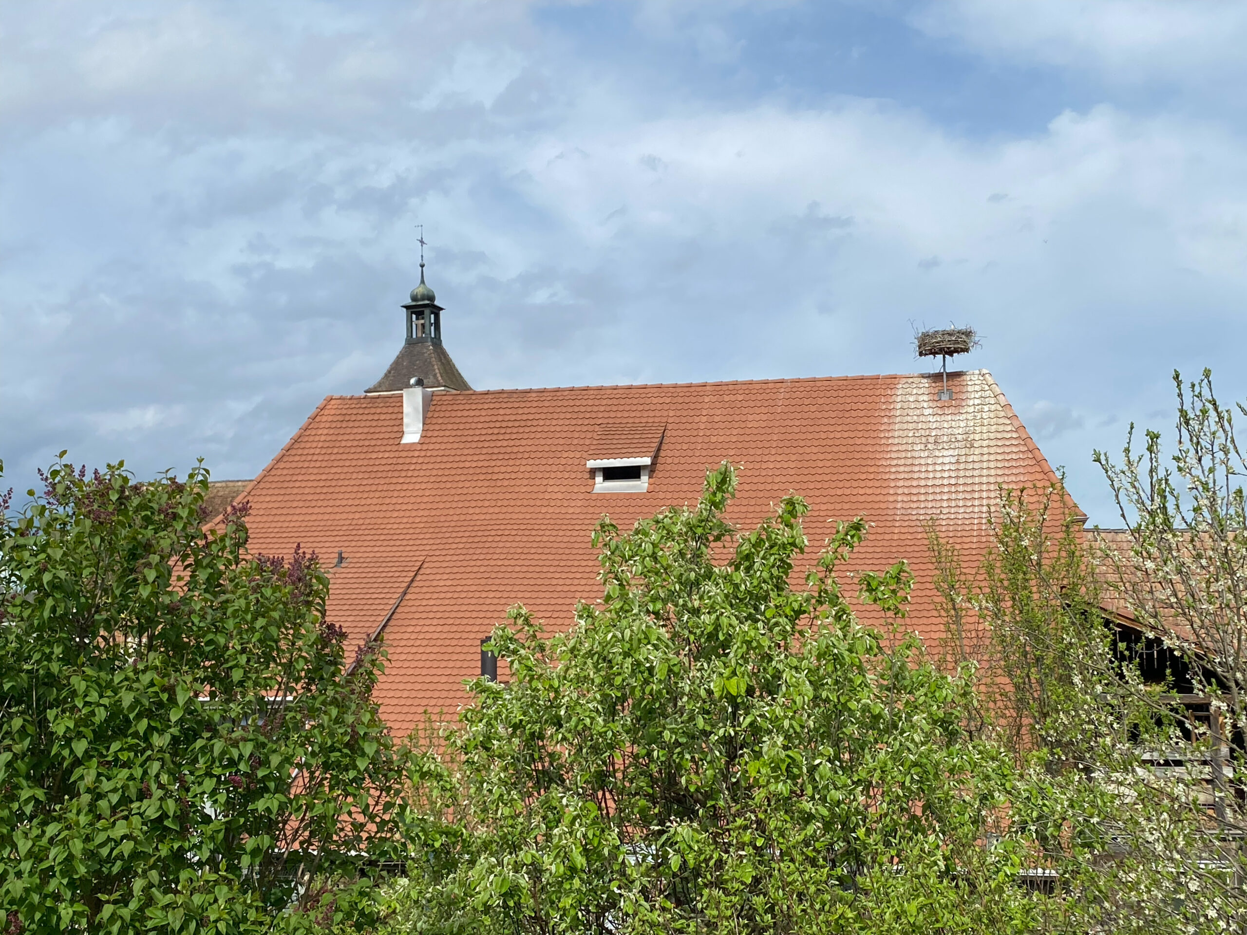 Rodersdorf Storchennest Kontext Kirchturmhaube_Sebastian Juengel