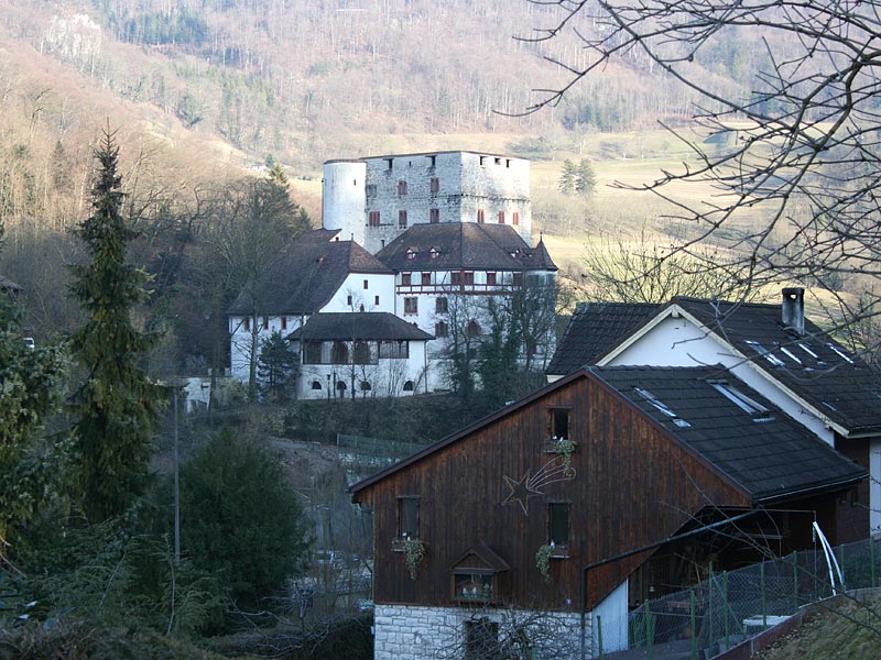 Schloss Angenstein