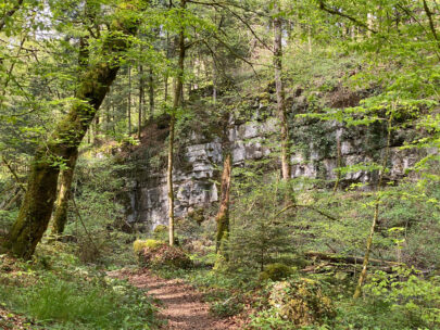 Meltingen Chaltbrunnental Felswand_Sebastian Juengel