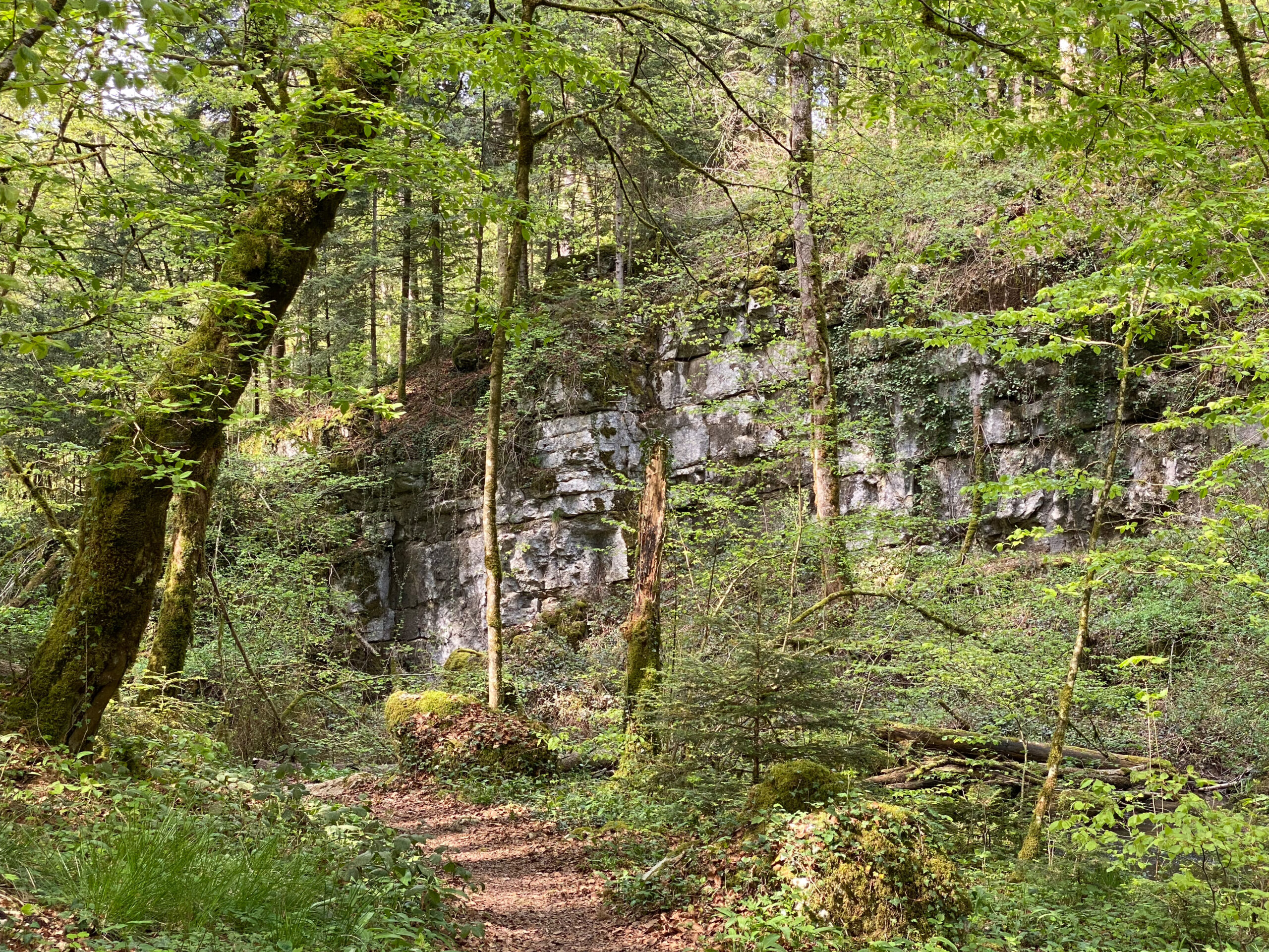Meltingen Chaltbrunnental Felswand_Sebastian Juengel