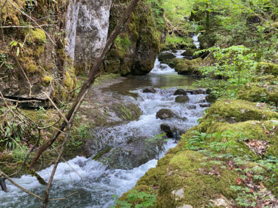 Meltingen Chaltbrunnental Ibach_Sebastian Juengel