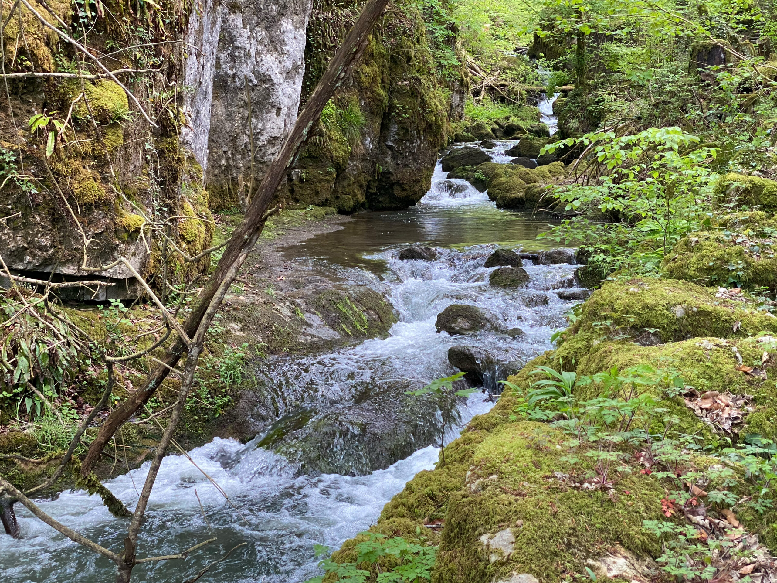 Meltingen Chaltbrunnental Ibach_Sebastian Juengel