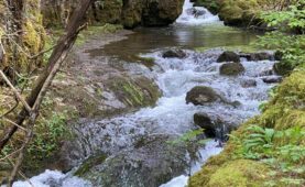 Meltingen: Urige Natureindrücke im Chaltbrunnental