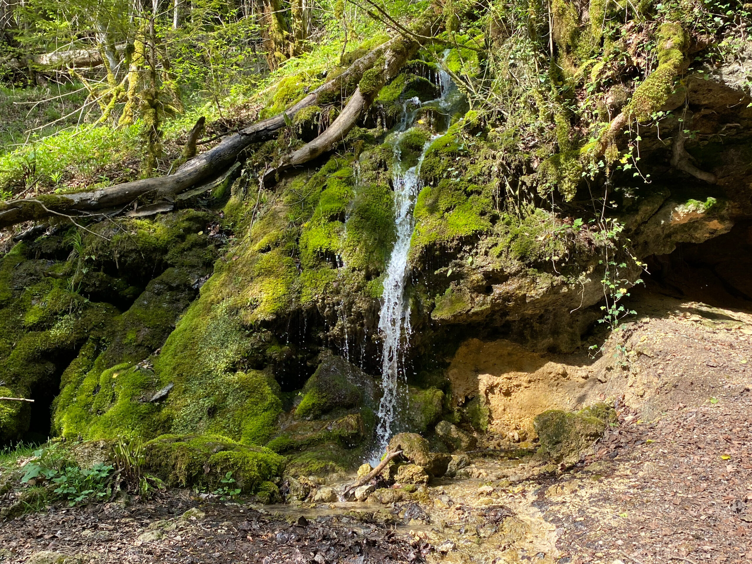 Meltingen Chaltbrunnental Kleiner Wasserfall Juengel