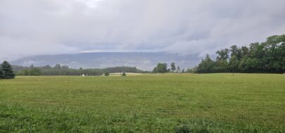 20230701_203823
