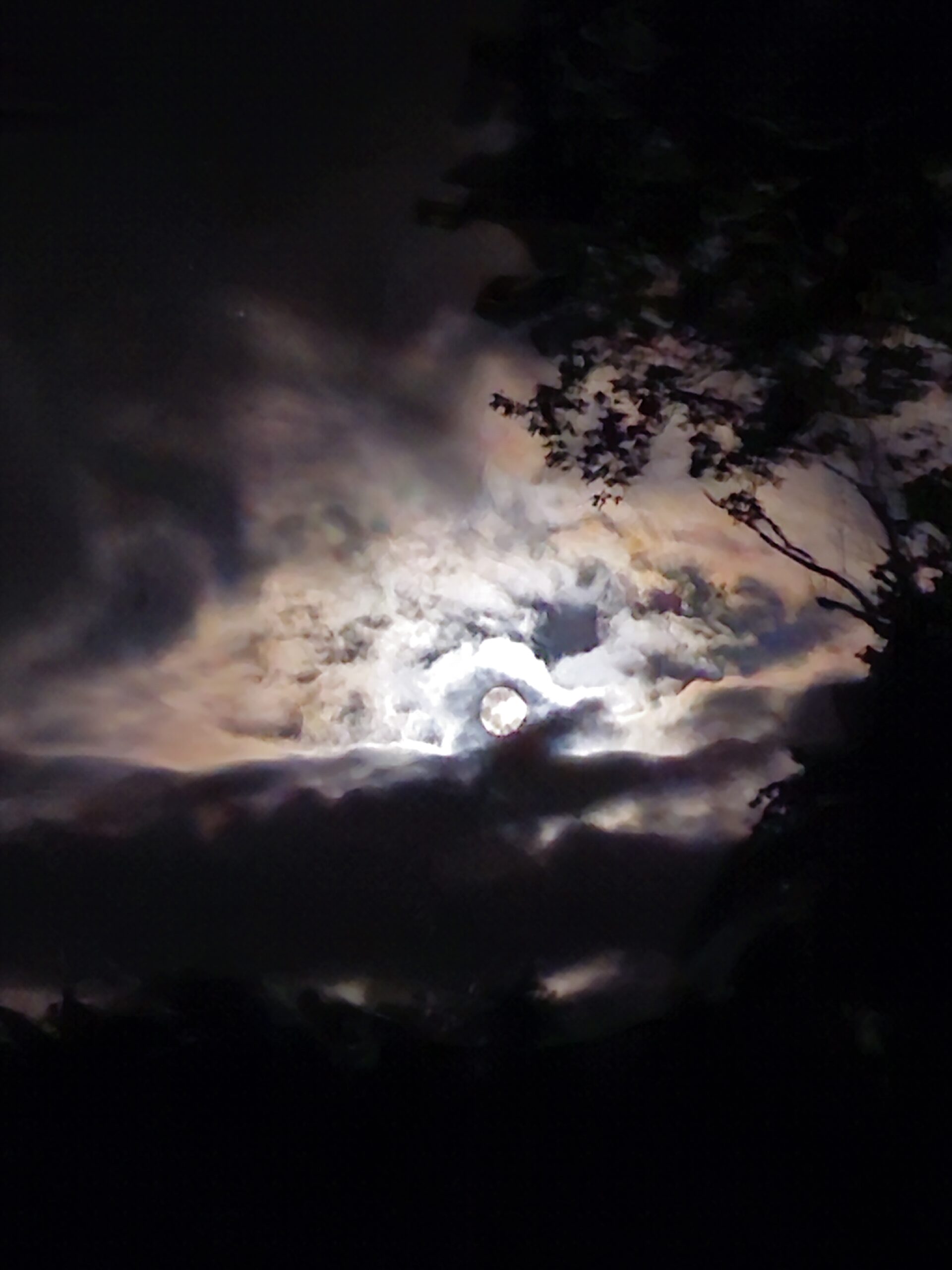 20230701_232257