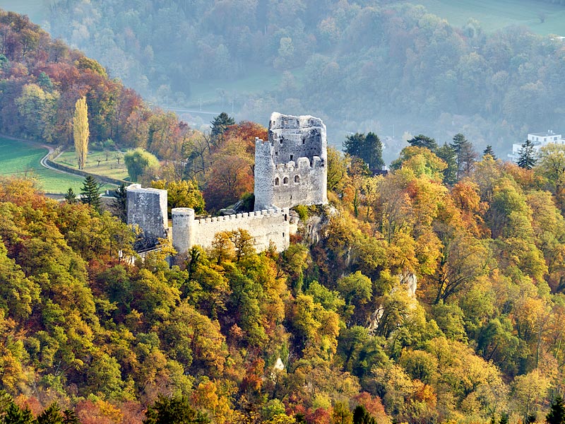 Ruine Pfeffingen
