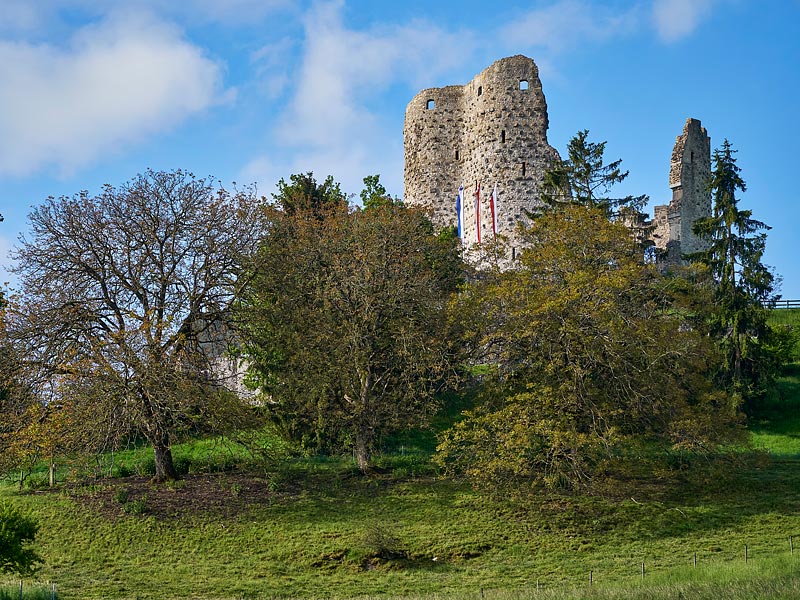 Ruine Pfeffingen