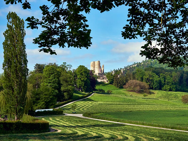 Ruine Pfeffingen
