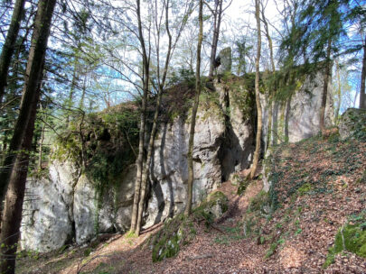 Dornach Ruine Hilzenstein Anlage Osten_Sebastian Juengel