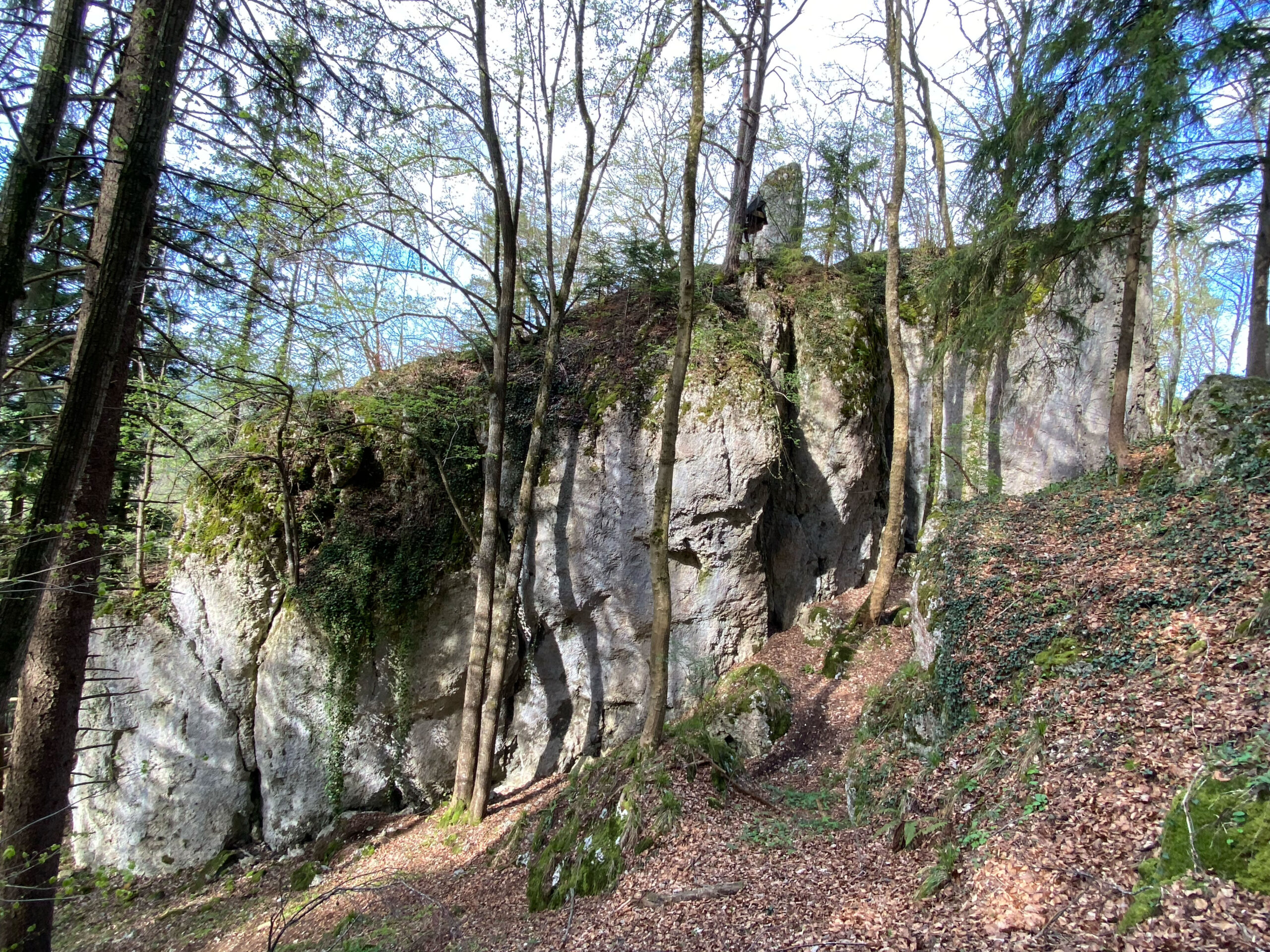 Dornach Ruine Hilzenstein Anlage Osten_Sebastian Juengel